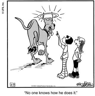 marmaduke